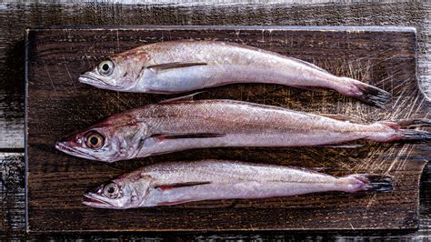 hake fish|Hake .